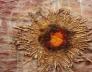 Expositie Collages van Anne Post toe Slooten